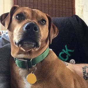 Meet your Posher, Matt